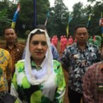 WhatsApp Image 2025-11-06 at 13.37