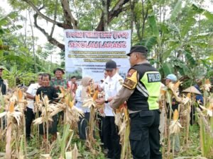 WhatsApp Image 2025-12-03 at 16.04