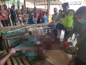 WhatsApp Image 2025-12-28 at 19.44