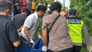 WhatsApp Image 2025-12-30 at 06.47