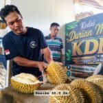 DURIAN 1