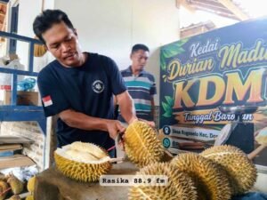 DURIAN 1
