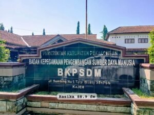 BKPSDM