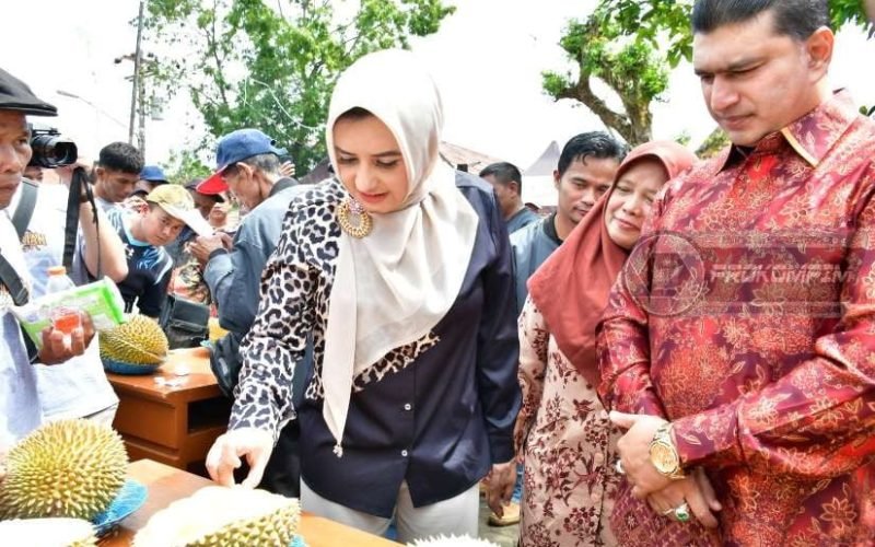 (Dok. Prokompim)