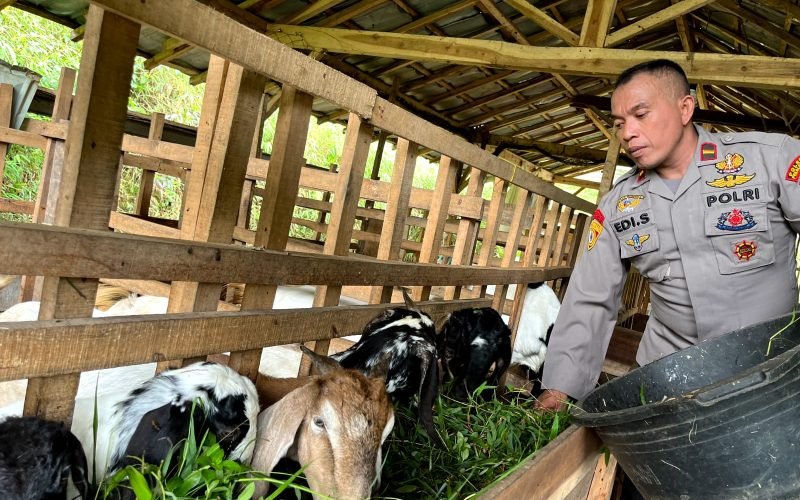 Ipda Edi jadi inspirasi warga setelah sukses ternak kambing dirumahnya (dok. Humas)