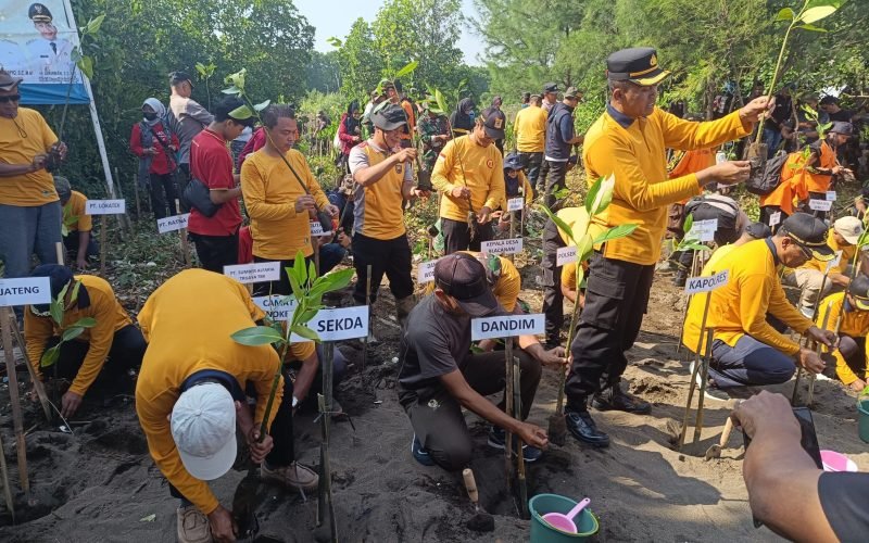 MAGERI SEGORO - Penanaman mangrove sebagai wujud nyata dalam merawat ekosistem pesisir (dok. Istimewa)