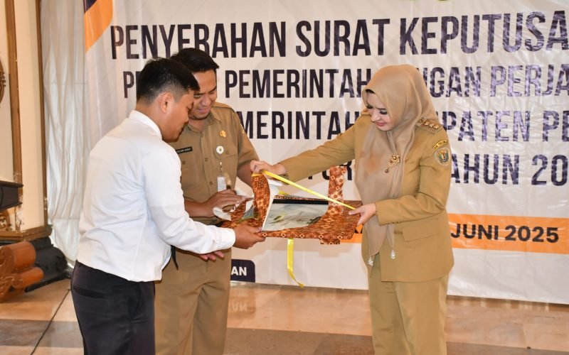 Bupati Fadia menyerahkan SK secara simbolis kepada 373 P3K (dok. Istimewa)