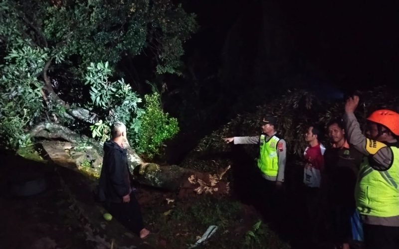 Petugas Polsek Karanganyar bersama tim Dalmas Sat Samapta Polres Pekalongan melakukan pengecekan dan evakuasi pohon tumbang di Dukuh Bandung, Desa Pedawang, usai angin puting beliung menerjang wilayah tersebut, Sabtu (20/12/2025 - dok. Humas)