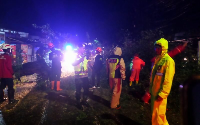 Petugas gabungan bersama relawan mengevakuasi pohon tumbang yang menutup akses Jalan Raya Wonopringgo–Sedayu akibat hujan deras dan angin kencang, Senin (26/1/2026) malam.