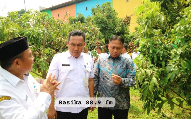 Ahmad Ridhowi (kanan) mencicipi kelengkeng Bligorejo saat kunjungan panen, didampingi jajaran pemerintah daerah yang meninjau langsung potensi pertanian desa (dok. Rasika FM)