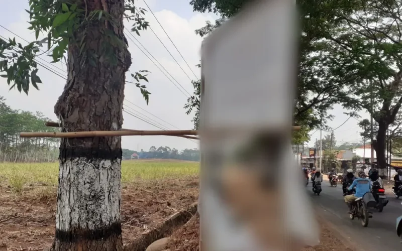 BALIHO - Pemasangan baliho Parpol dan Caleg yang diduga melanggar Perda akan ditindak tegas (02/11/2023)