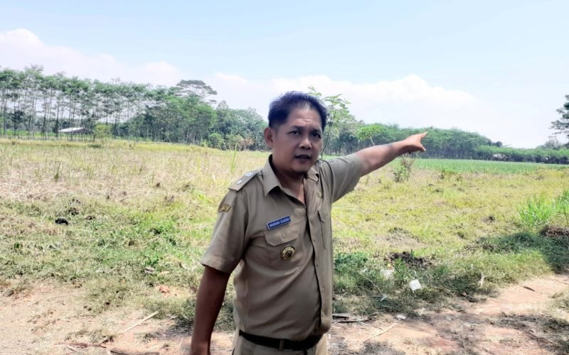 Kepala Desa Wuled, Wasduki Djazuli saat menunjukkan tanah kas desa yang diduga di perjual belikan (dok. Bagus Rasika FM Pekalongan)