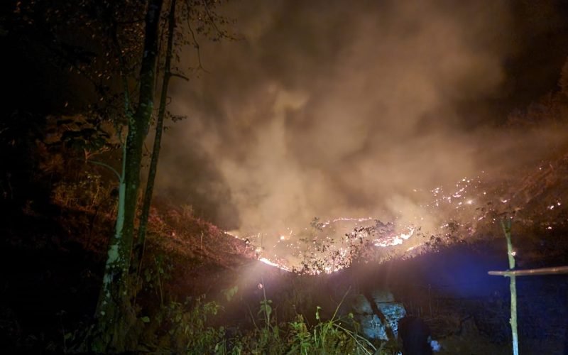 Hutan pinus seluas 5 hektar terbakar di lahan penebangan Combong Tajur Kandangserang (11/09/2023 - dok. Humas)