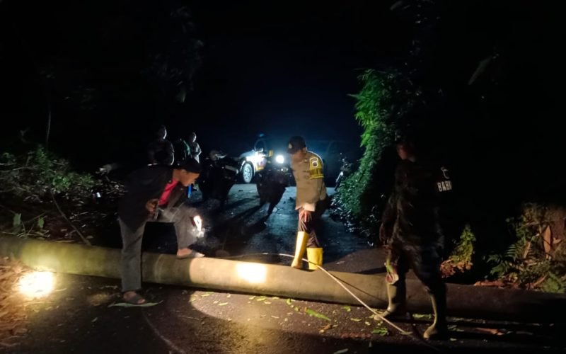 Tumbang - Pohon setinggi 10 meter yang tumbang dan melintang dijalan serta merobohkan tiang listrik (dok. Humas)