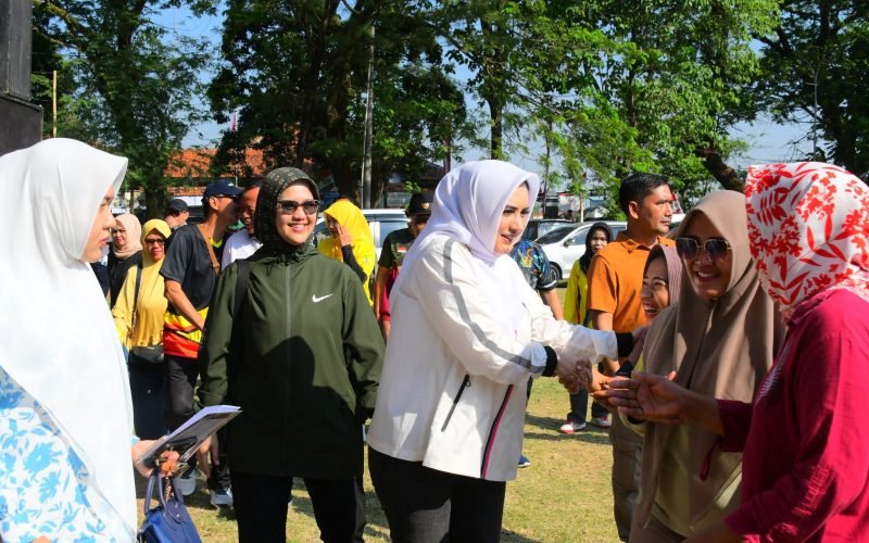 Dok. Prokompim