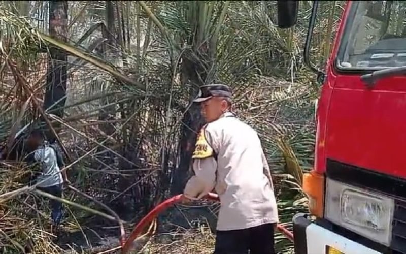 SI JAGO MERAH - Petugas pemadam kebakaran dan anggota Polres Pekalongan bersama warga saat memadamkan api (dok. Humas)