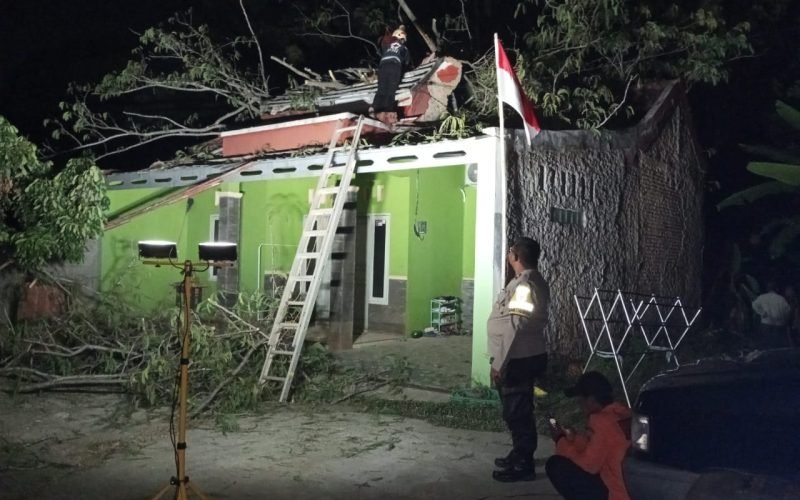 LAPUK - Lima orang terluka akibat pohon sengon lapuk timpa rumah warga (dok. Humas)