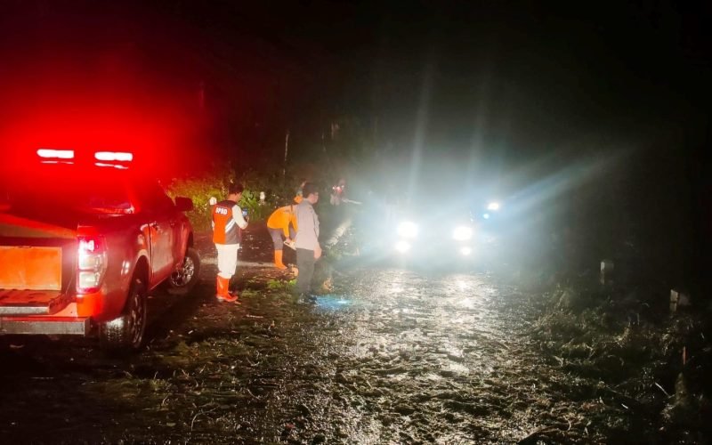 Akibat diguyur hujan lebat, beberapa pohon tumbang di jalur Paninggaran (dok. Humas)