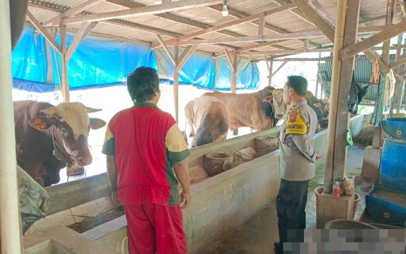 PMK - Bhabinkamtibmas dari Polres Pekalongan lakukan sosialisasi pencegahan Penyakit Mulut dan Kuku di wilayah binaan (dok. Humas)
