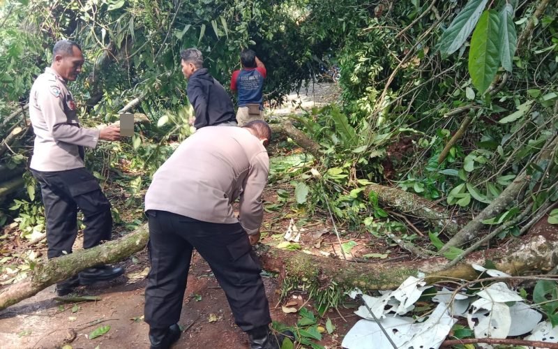 Polisi dan warga bahu membahu mengevakuasi pohon tumbang di jalur Lebakbarang (dok. Humas)