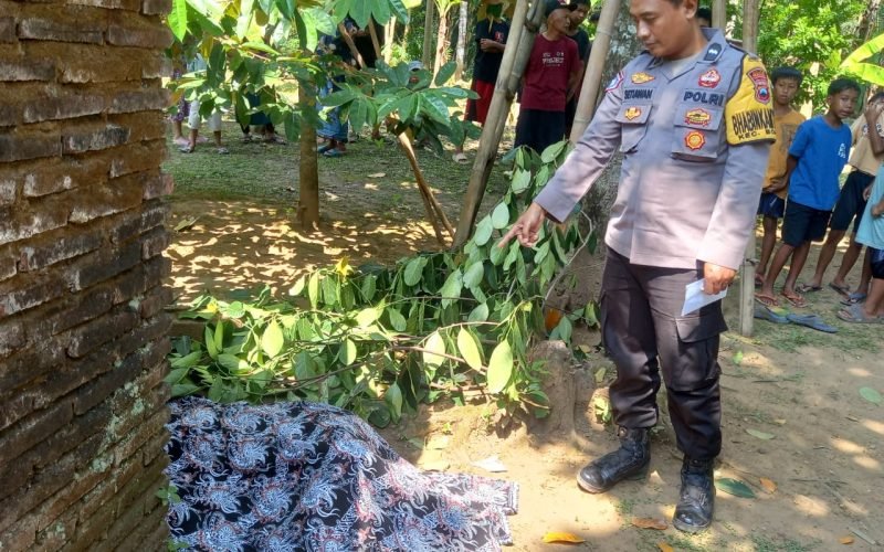 Petugas Polsek Bojong melakukan pemeriksaan di lokasi ditemukannya warga Desa Menjangan, Kecamatan Bojong, Kabupaten Pekalongan, yang meninggal dunia usai terjatuh saat hendak memetik buah nangka, Minggu (7/9/2025). (Foto: Humas Polres Pekalongan)