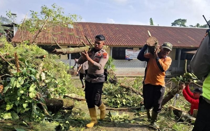 Gotong royong aparat kepolisian bersama relawan dan warga membersihkan pohon tumbang yang menimpa fasilitas umum di Desa Kasimpar, Kecamatan Petungkriyono, pasca-bencana angin kencang, Kamis (25/9/2025).