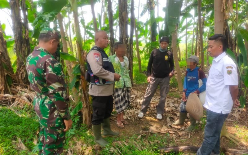 Bhabinkamtibmas bersama Babinsa saat meninjau langsung lokasi kebun warga yang rusak akibat kerbau (dok. Humas)