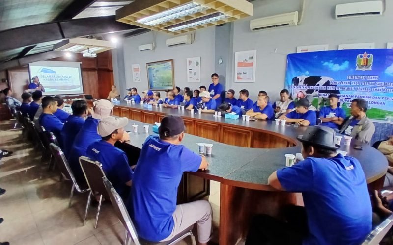 Para peternak sapi asal Kabupaten Pekalongan mengikuti kegiatan bimbingan teknis pengolahan hasil ternak sapi perah di Koperasi Peternak Sapi Bandung Utara (KPSBU) Lembang, Sabtu (25/10/2025 - doc. Bagus - Rasika FM)