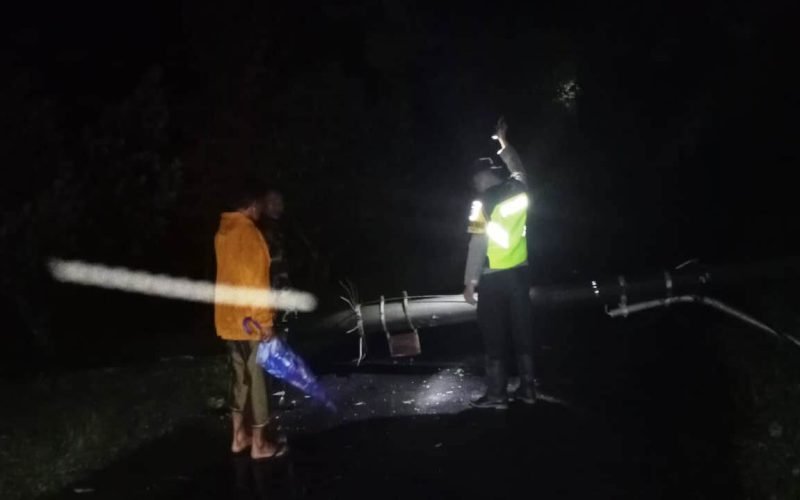 Petugas kepolisian bersama relawan melakukan pengecekan dan evakuasi awal di lokasi pohon tumbang yang menutup total ruas jalan Doro–Randusari pada Senin malam, sambil memastikan area tetap aman di tengah gelapnya pemadaman listrik.
