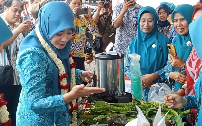Ketua TP PKK Provinsi Jawa Tengah meninjau langsung produk UMKM lokal saat pencanangan Kesatuan Gerak PKK Bangga Kencana di Kecamatan Talun (dok. Istimewa)