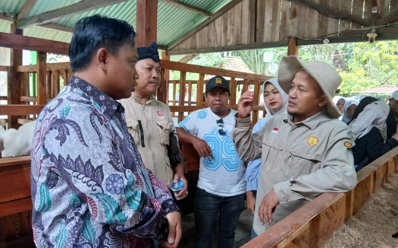 Pimpinan DPRD Ahmad Ridhowi dan Anggota DPRD Umi Farida bersama DKPP Kabupaten Pekalongan meninjau langsung teknik pemeliharaan kambing perah saat studi tiru di Sahabat Ternak Farm, Sleman, sebagai upaya meningkatkan mutu bibit dan kualitas pengolahan pakan bagi peternak lokal (21/11/2025 - dok. Bagus - Rasika FM)