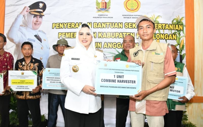Bupati Fadia Arafiq secara simbolis memberikan bantuan combine harvester kepada kelompok tani di Kesesi sebagai bagian dari upaya memperkuat ketahanan pangan daerah (doc. Istimewa)