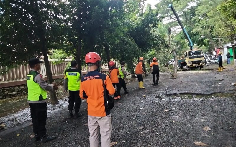 Petugas gabungan melakukan evakuasi pohon tumbang yang sempat menutup akses jalan di wilayah Kedungwuni, Selasa (13/1/2026 - dok. Humas)