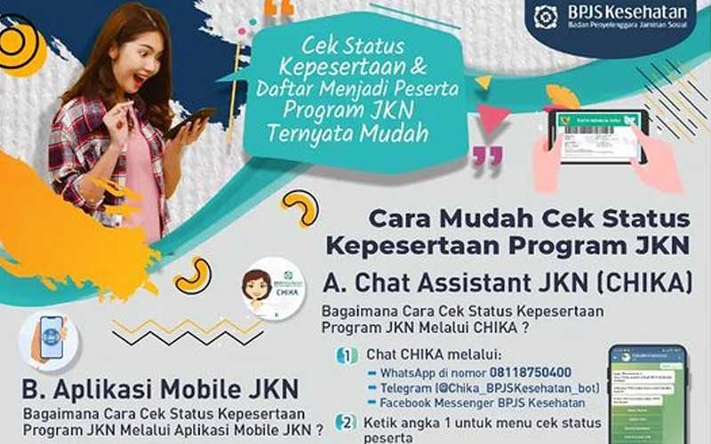cek-jkn